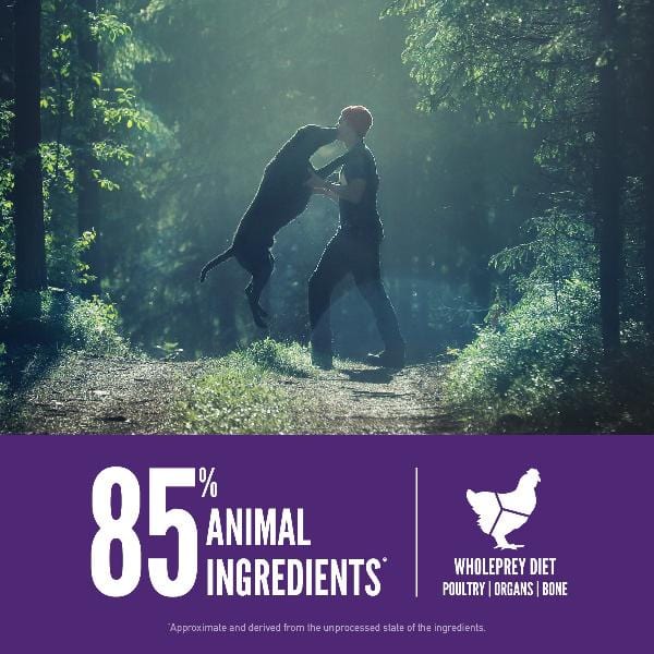 Orijen Adult Large Breed Dry Dog Food - Image 4