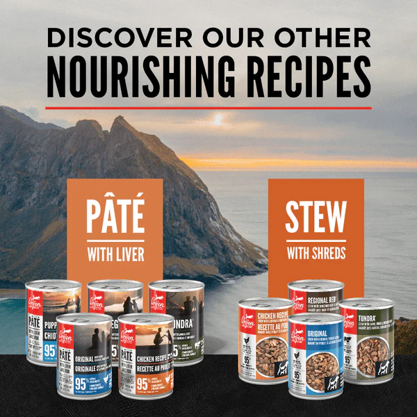 Orijen Chicken Recipe Pate with Liver Canned Dog Food - Image 5