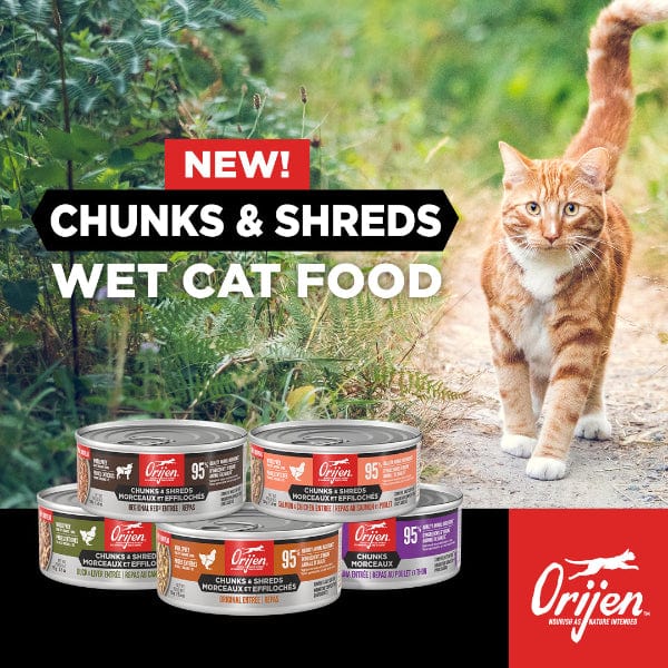 Orijen Chicken & Tuna Chunks Entrée Canned Kitten Food, 5.5oz - Image 5