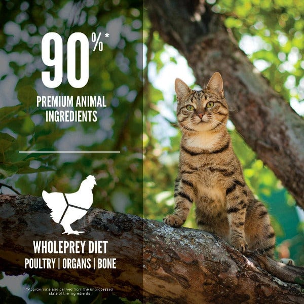 Orijen Guardian 8 Cat Dry Food - Image 4