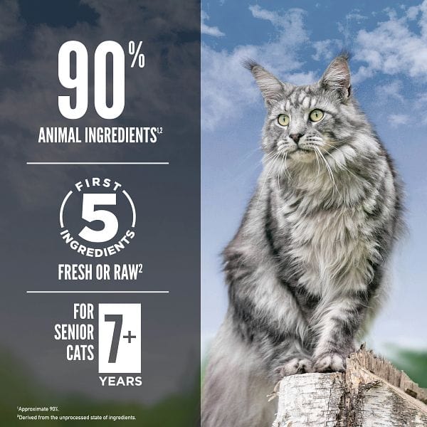 Orijen Guardian 8 Senior Cat Dry Food - Image 3