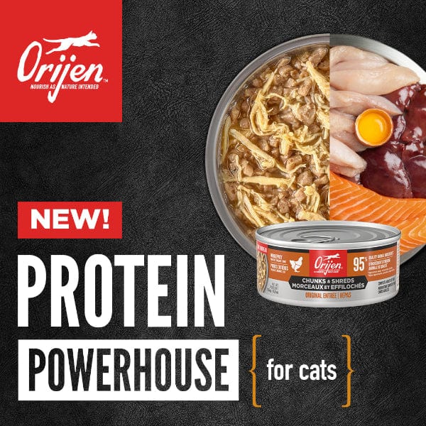 Orijen Original Chunks & Shreds Entrée Canned Cat Food, 5.5oz - Image 3