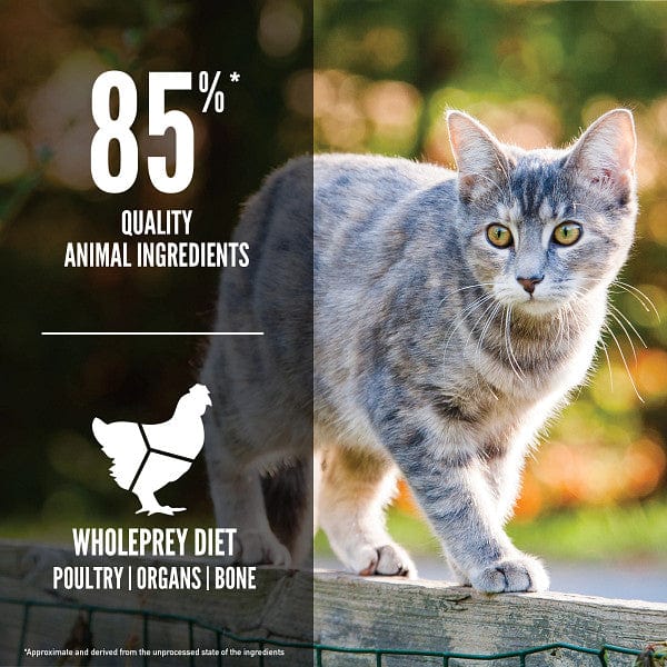 Orijen Original Dry Cat Food - Image 3