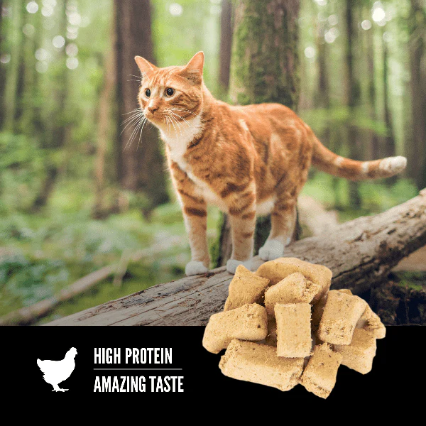 Orijen Original Freeze-Dried Cat Treats - Image 2