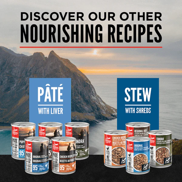 Orijen Original Pate with Liver Canned Dog Food - Image 5
