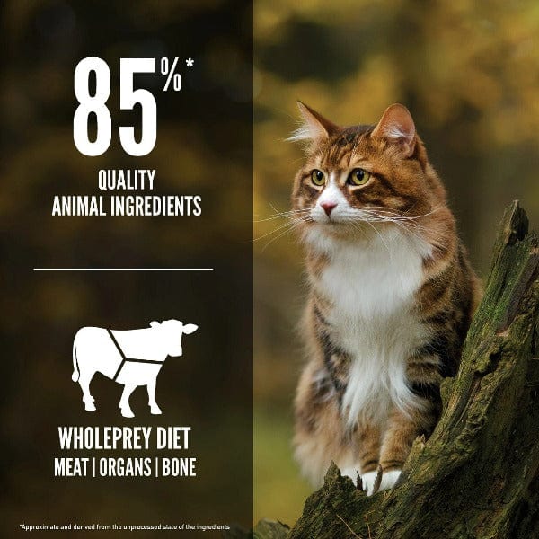 Orijen Regional Red Dry Cat Food - Image 3
