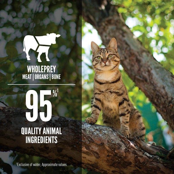Orijen Regional Red Entrée Canned Cat Food - Image 2
