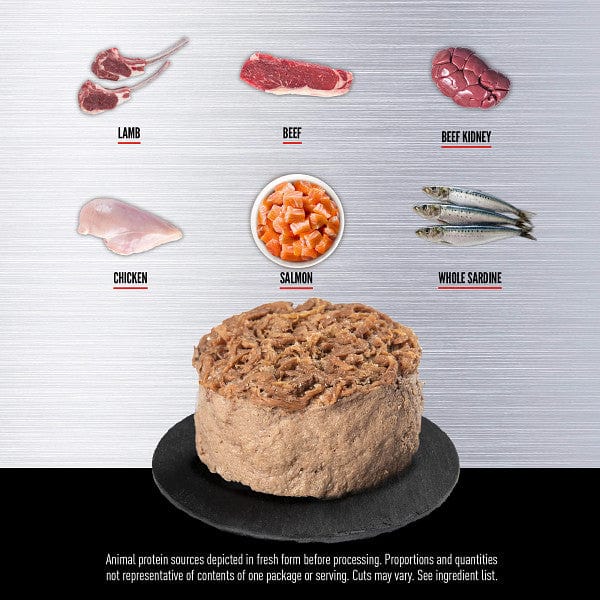 Orijen Regional Red Entrée Canned Cat Food - Image 3