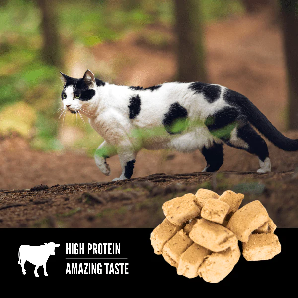 Orijen Regional Red Freeze-Dried Cat Treats - Image 2
