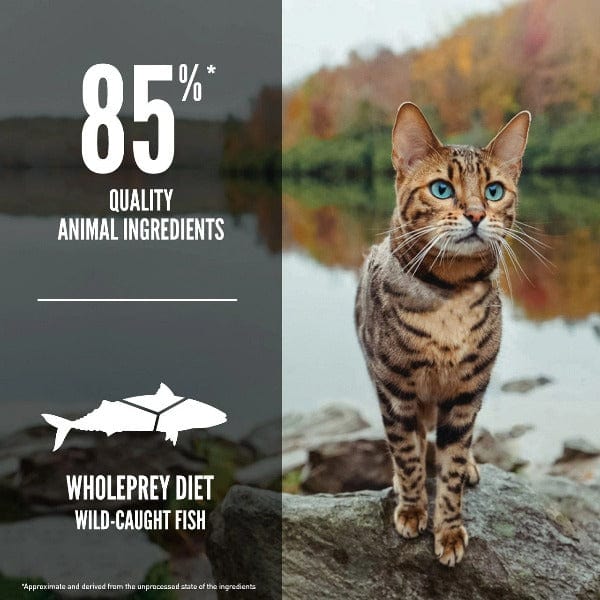 Orijen Six Fish Dry Cat Food - Image 3