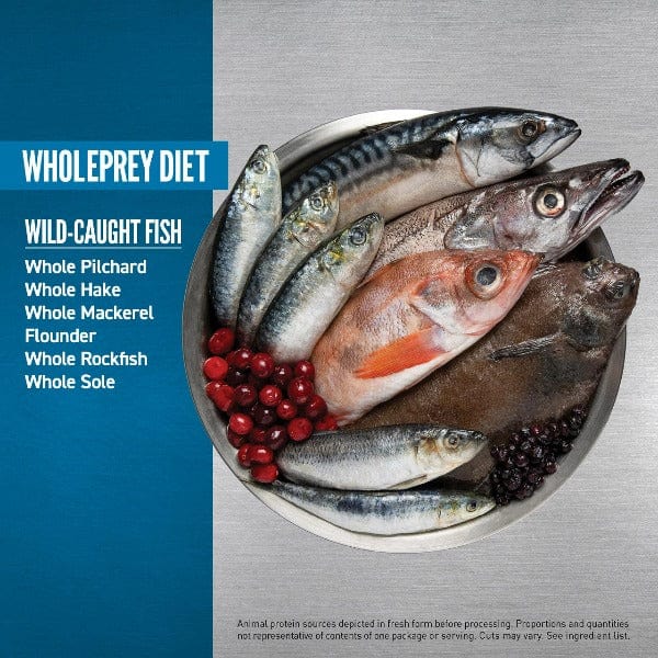 Orijen Six Fish Dry Cat Food - Image 4
