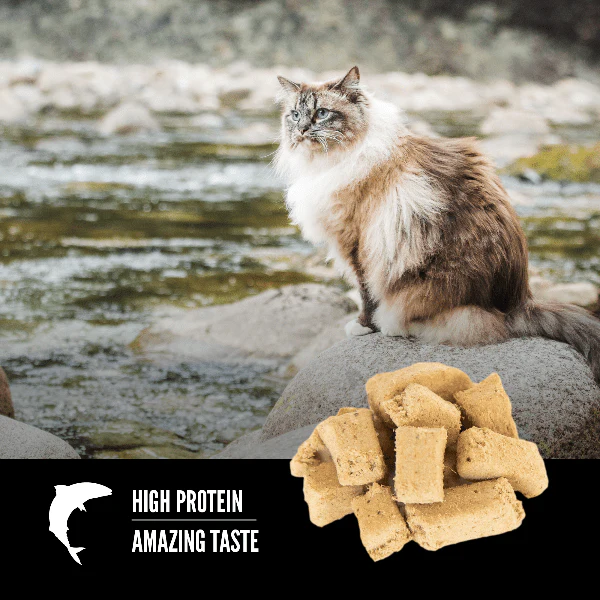 Orijen Six Fish Freeze-Dried Cat Treats - Image 2