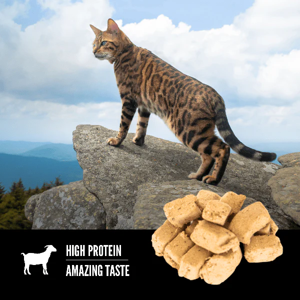 Orijen Tundra Freeze-Dried Cat Treats - Image 2
