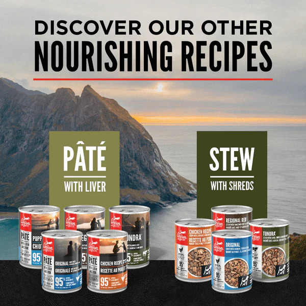 Orijen Tundra Pate with Liver Canned Dog Food - Image 5