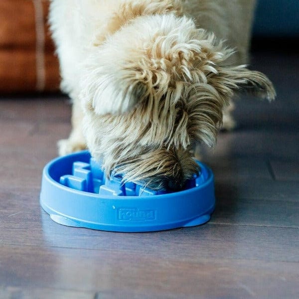 Outward Hound Fun Feeder Slo-Bowl - Image 5