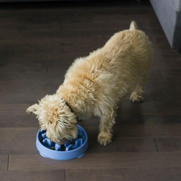 Outward Hound Fun Feeder Slo-Bowl - Image 6