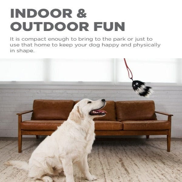 Outward Hound Tail Teaser Dog Wand, Black - Image 5