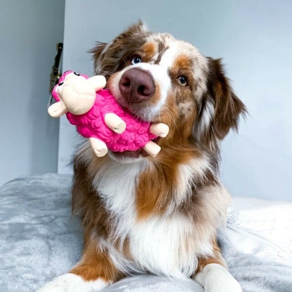 Outward Hound Tootiez Dog Toy - Image 10