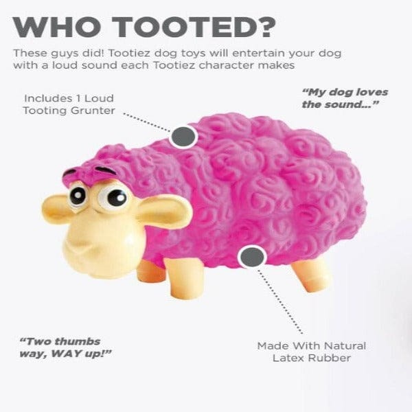 Outward Hound Tootiez Dog Toy - Image 6