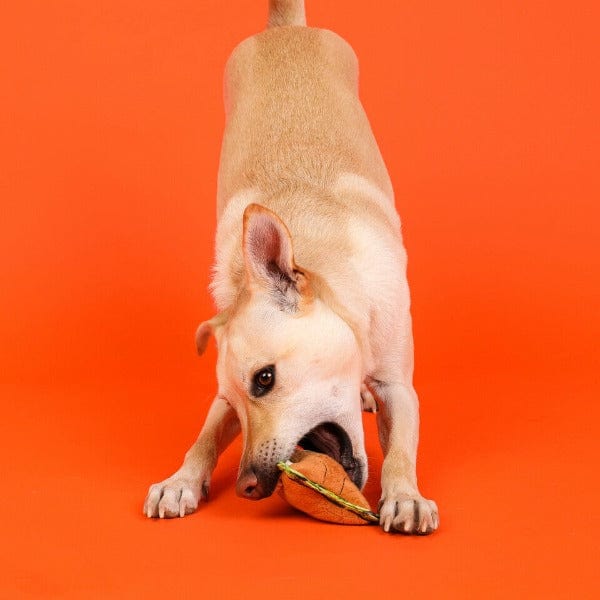Outward Hound Xtreme Seamz Small Dog Toy - Image 6