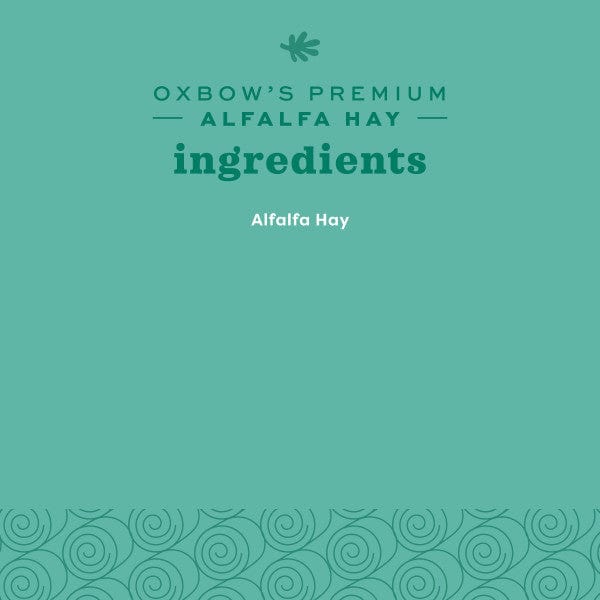 Oxbow Alfalfa Hay - Image 10