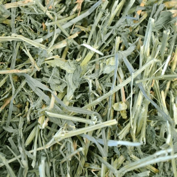 Oxbow Alfalfa Hay - Image 2