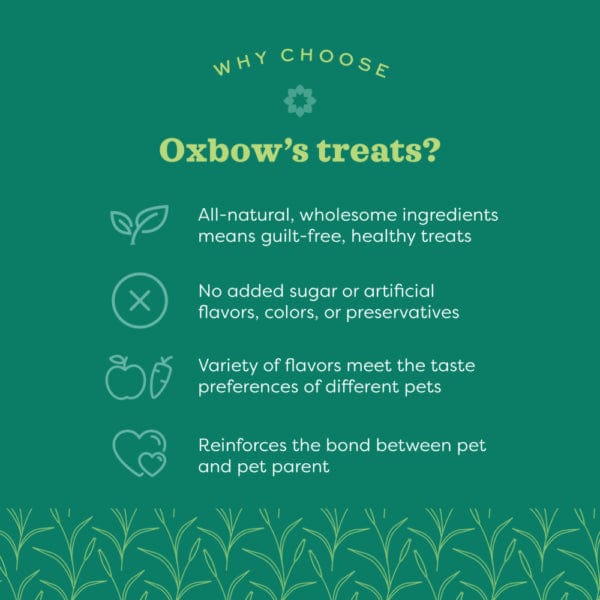 Oxbow Bene Terra Organic Barley Biscuits - Image 3