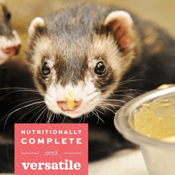 Oxbow Critical Care Carnivore - Image 3