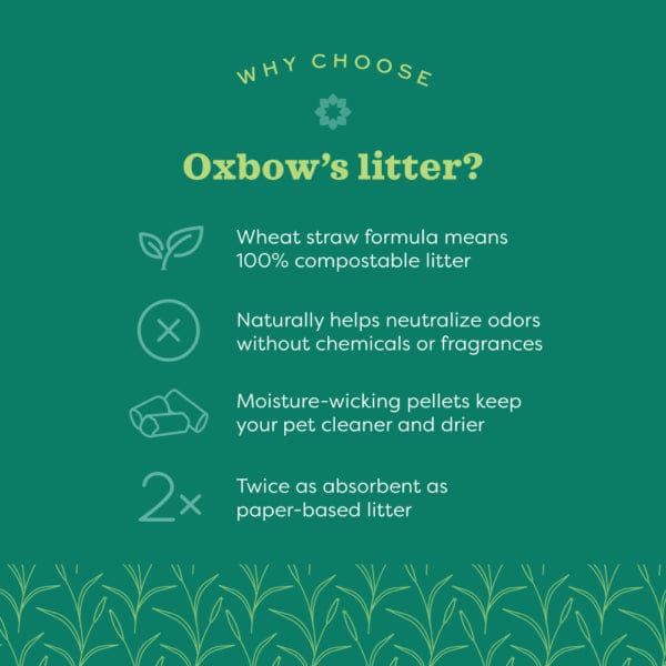 Oxbow Eco-Straw Litter - Image 3