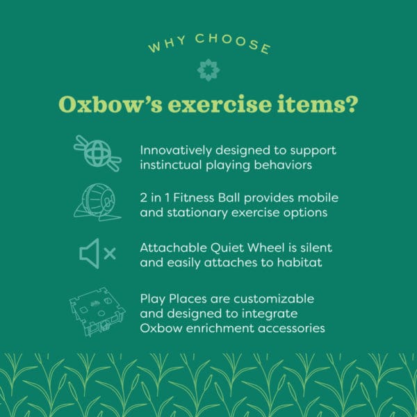 Oxbow Enriched Life - 2 in 1 Quiet Runner - Image 3