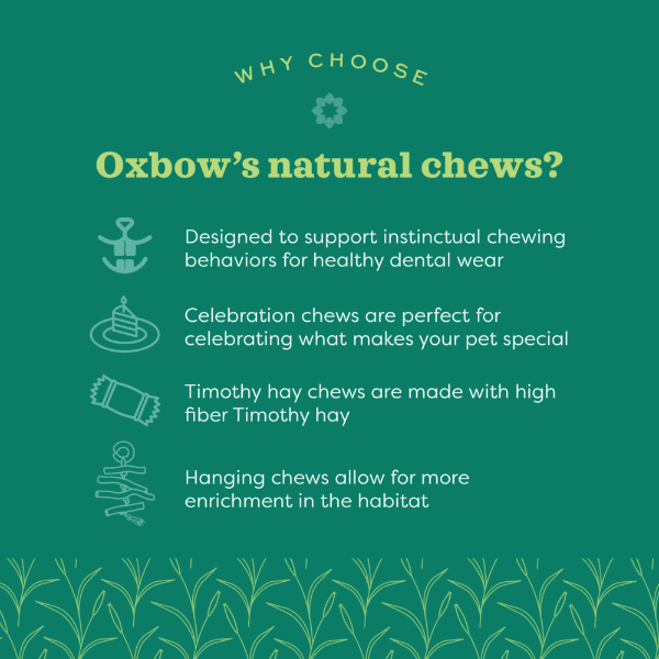 Oxbow Enriched Life - Apple Stick Bundle - Image 3