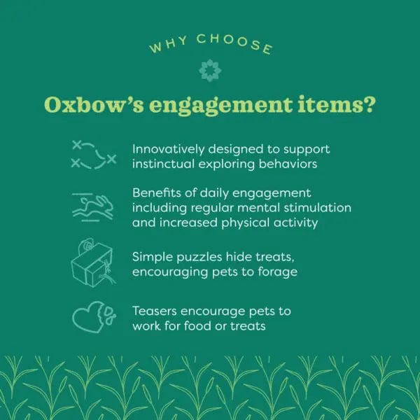 Oxbow Enriched Life - Burrow Box - Image 3