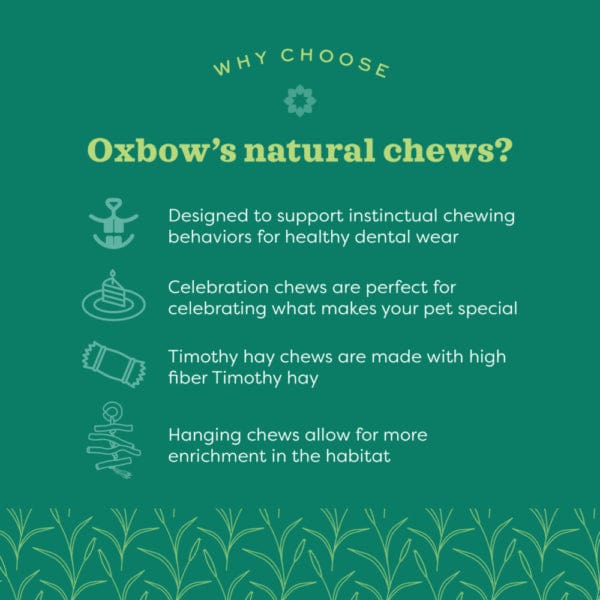 Oxbow Enriched Life - Celebration Basket - Image 3