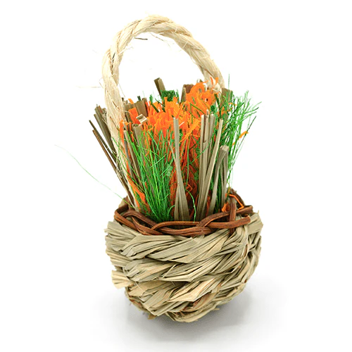 Oxbow Enriched Life - Celebration Basket - Image 6