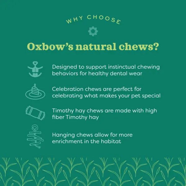 Oxbow Enriched Life - Celebration Bouquet - Image 3