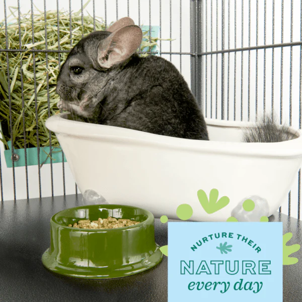 Oxbow Enriched Life - Chinchilla Accessory Pack - Image 2