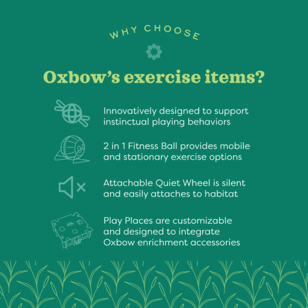 Oxbow Enriched Life - Customizable Play Place - Image 3