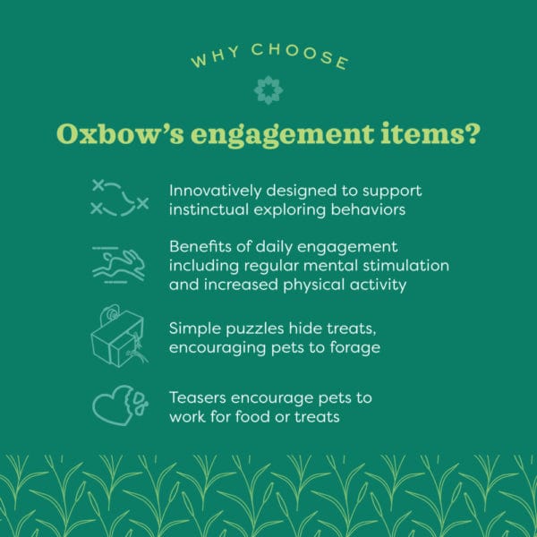 Oxbow Enriched Life - Garden Dig Box - Image 3