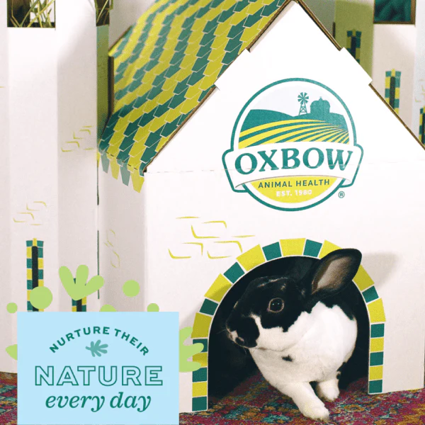 Oxbow Enriched Life - Hideaway Dream Cottage - Image 2