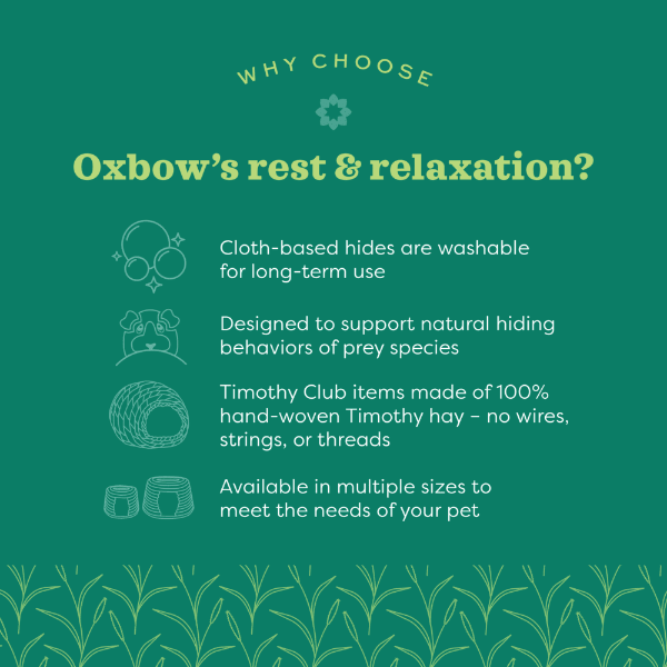 Oxbow Enriched Life - Honeycomb Hammock - Image 3