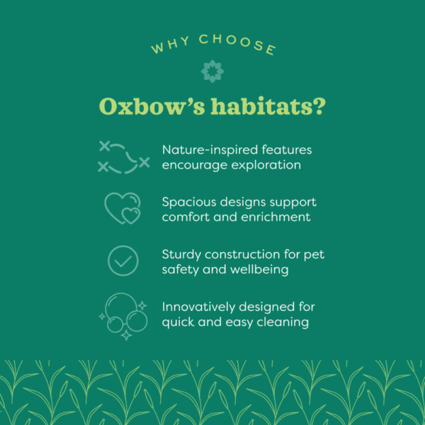 Oxbow Enriched Life - Large Habitat for Rabbits and Guinea Pigs - Image 3