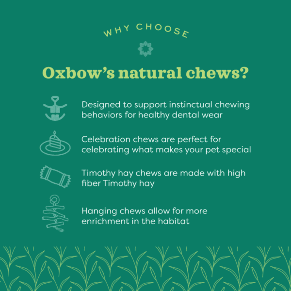 Oxbow Enriched Life - Natural Woven Dangly - Image 5