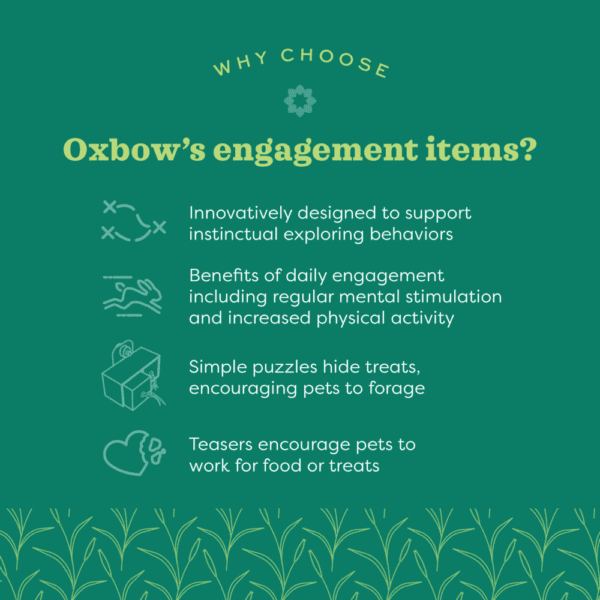 Oxbow Enriched Life - Pull 'n Seek - Image 3