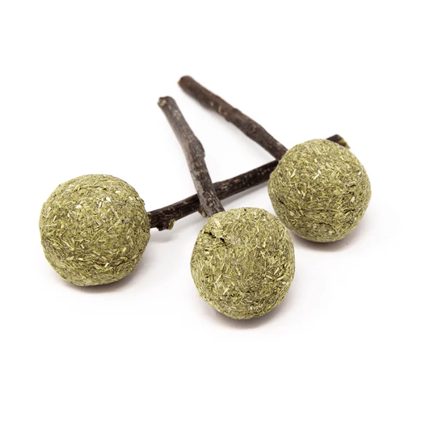 Oxbow Enriched Life - Timmy Pops - Image 6