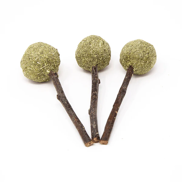 Oxbow Enriched Life - Timmy Pops - Image 7