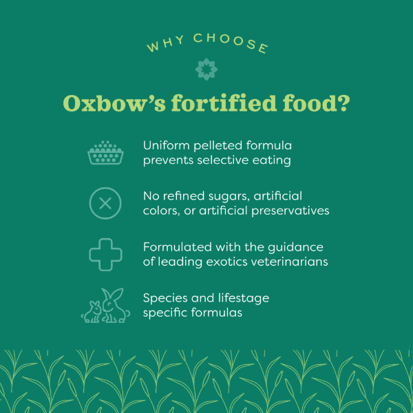 Oxbow Essentials Young Rabbit Food - Image 3