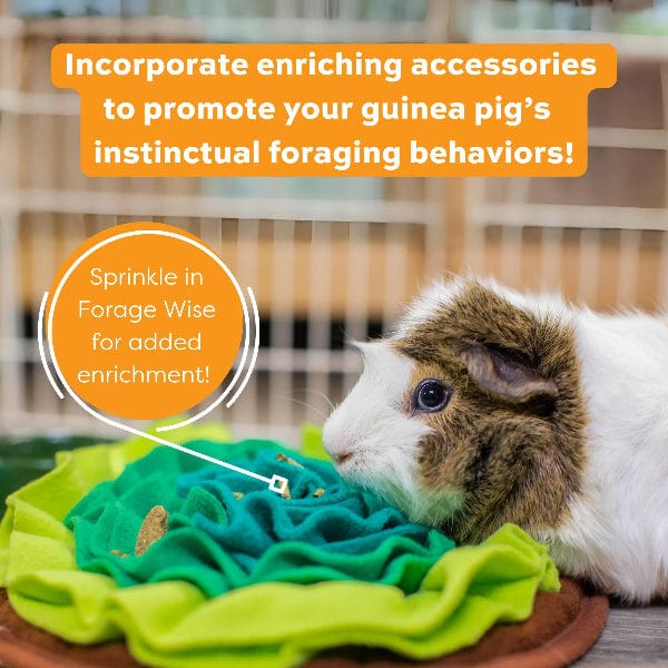 Oxbow Forage Wise Adult Guinea Pig Food - Image 3