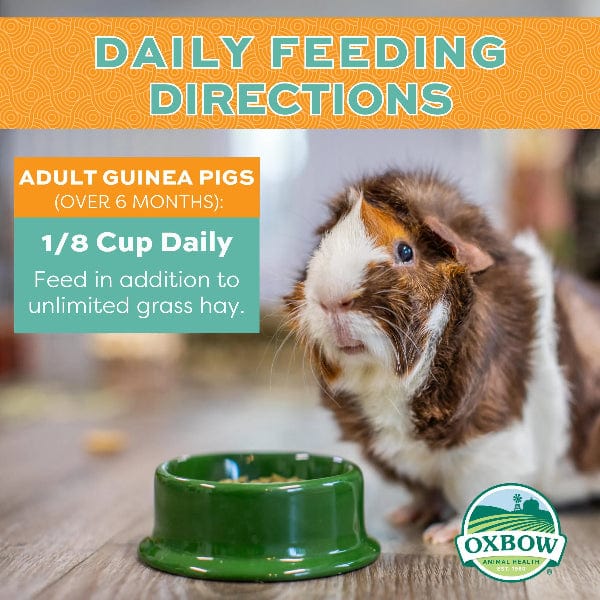 Oxbow Forage Wise Adult Guinea Pig Food - Image 5