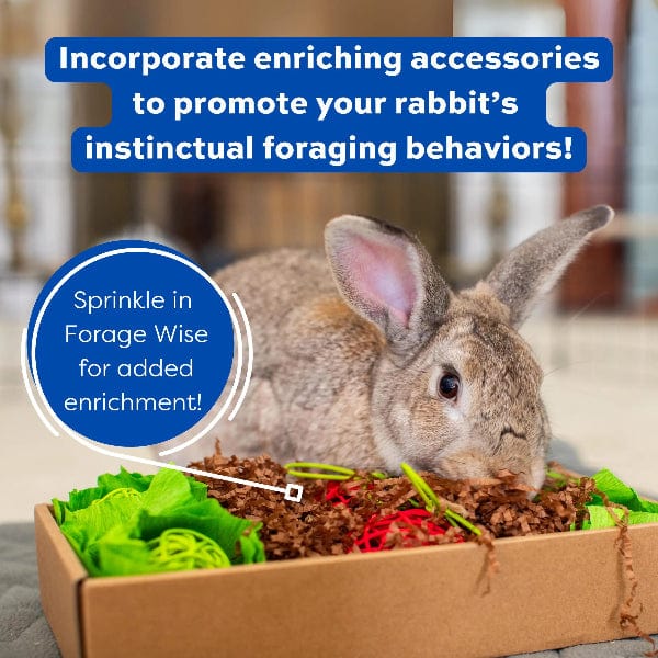 Oxbow Forage Wise Adult Rabbit Food - Image 2