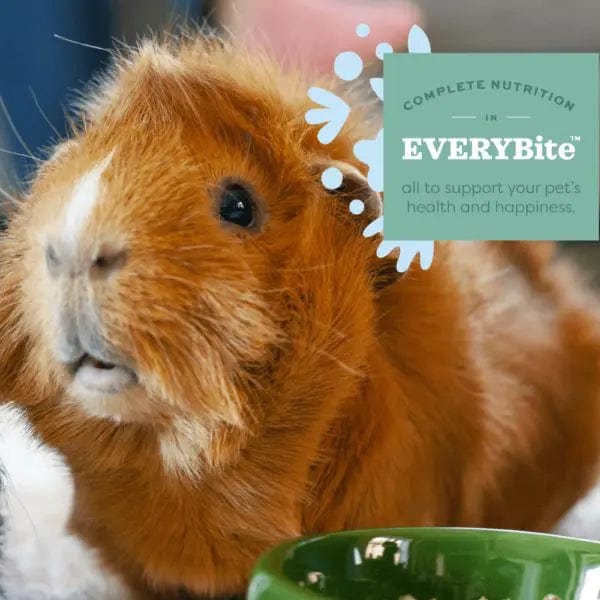 Oxbow Garden Select Young Guinea Pig Food - Image 2